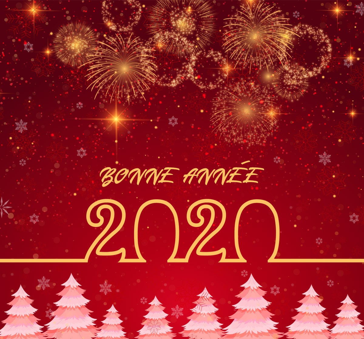 St-Hubert Toyota Bonne Année 2020.jpg